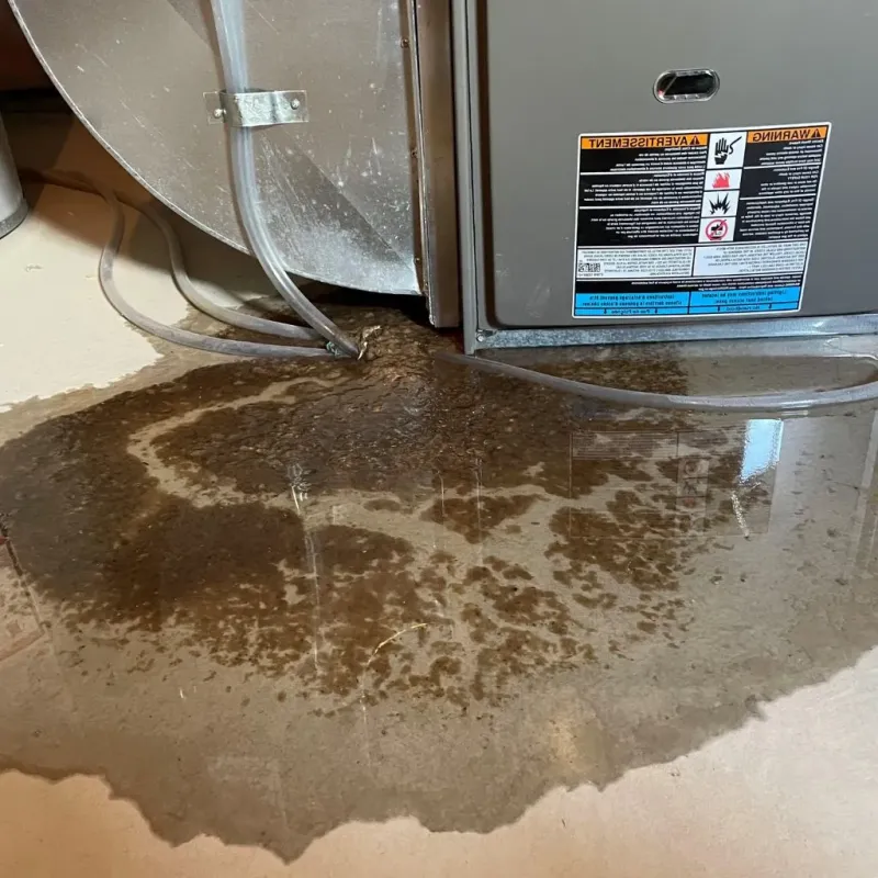 Pipe Burst and Leak Restoration in Seymour, IN